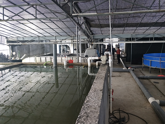 塑料助劑生產廢水處理方法有哪些?