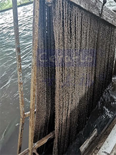 化妝品廠廢水處理方法是怎么樣的？