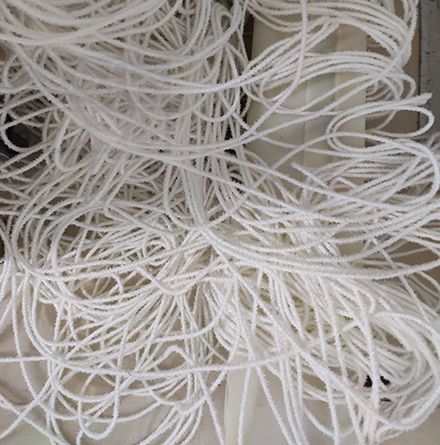 異香蘭素廢水處理方法及其環境友好性