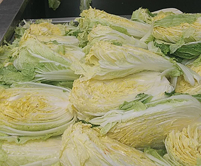 泡菜加工廢水如何處理?