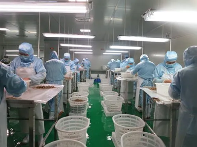 筍制品加工廢水處理工藝