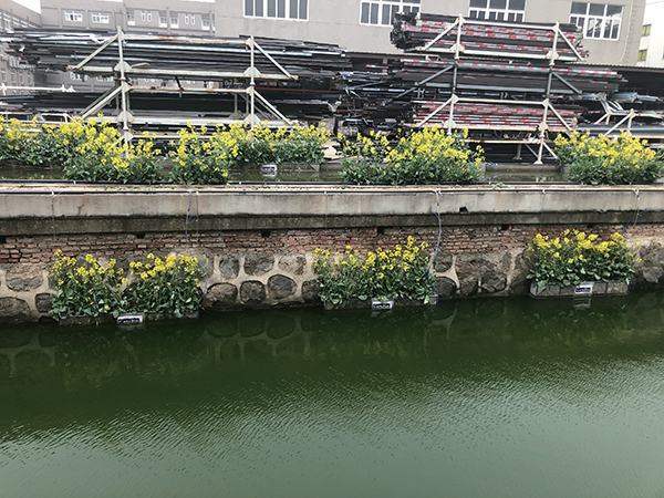 mbr膜應用河道治理方法