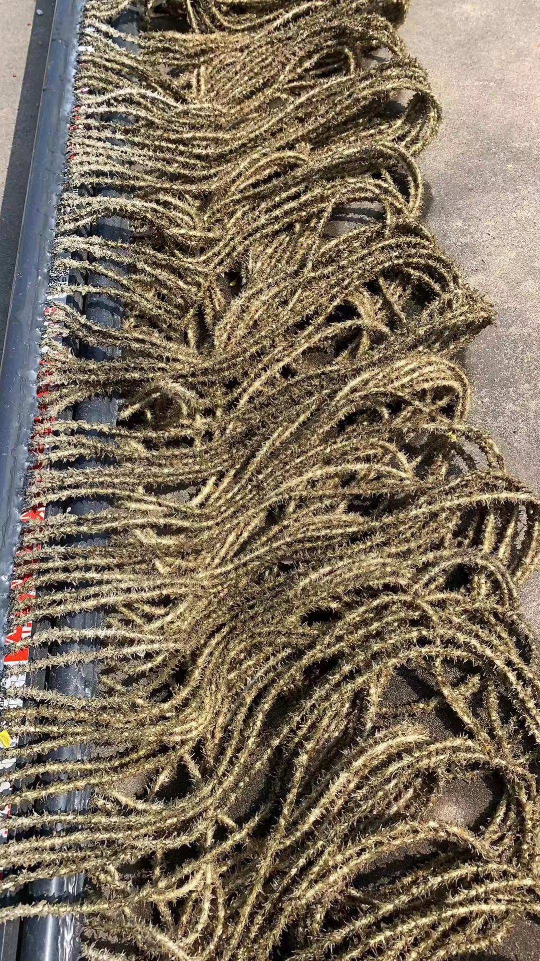 水污染的類型和特點有什么？