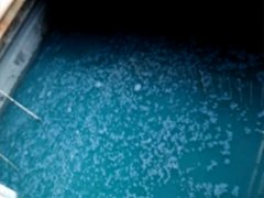 電路板廢水處理方案,柔性陶瓷膜技術可以實現嗎